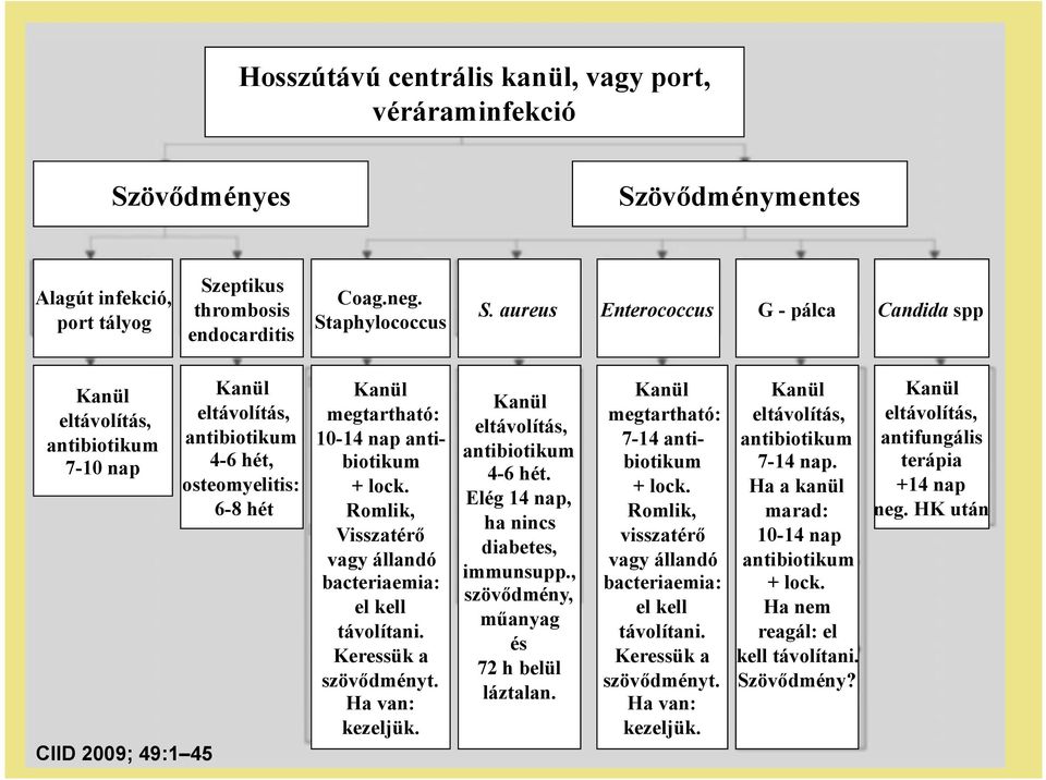 antibiotikum + lock. Romlik, Visszatérő vagy állandó bacteriaemia: el kell távolítani. Keressük a szövődményt. Ha van: kezeljük. Kanül eltávolítás, antibiotikum 4-6 hét.