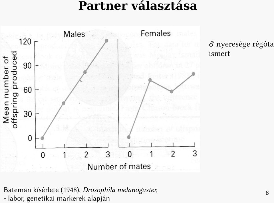 (1948), Drosophila melanogaster,