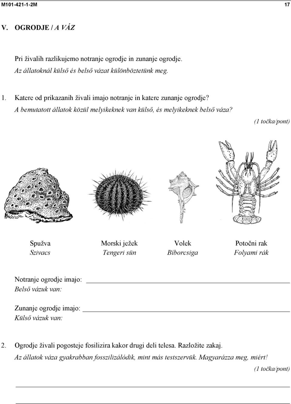 Spužva Szivacs Morski ježek Tengeri sün Volek Bíborcsiga Potočni rak Folyami rák Notranje ogrodje imajo: Belső vázuk van: Zunanje ogrodje imajo: Külső vázuk
