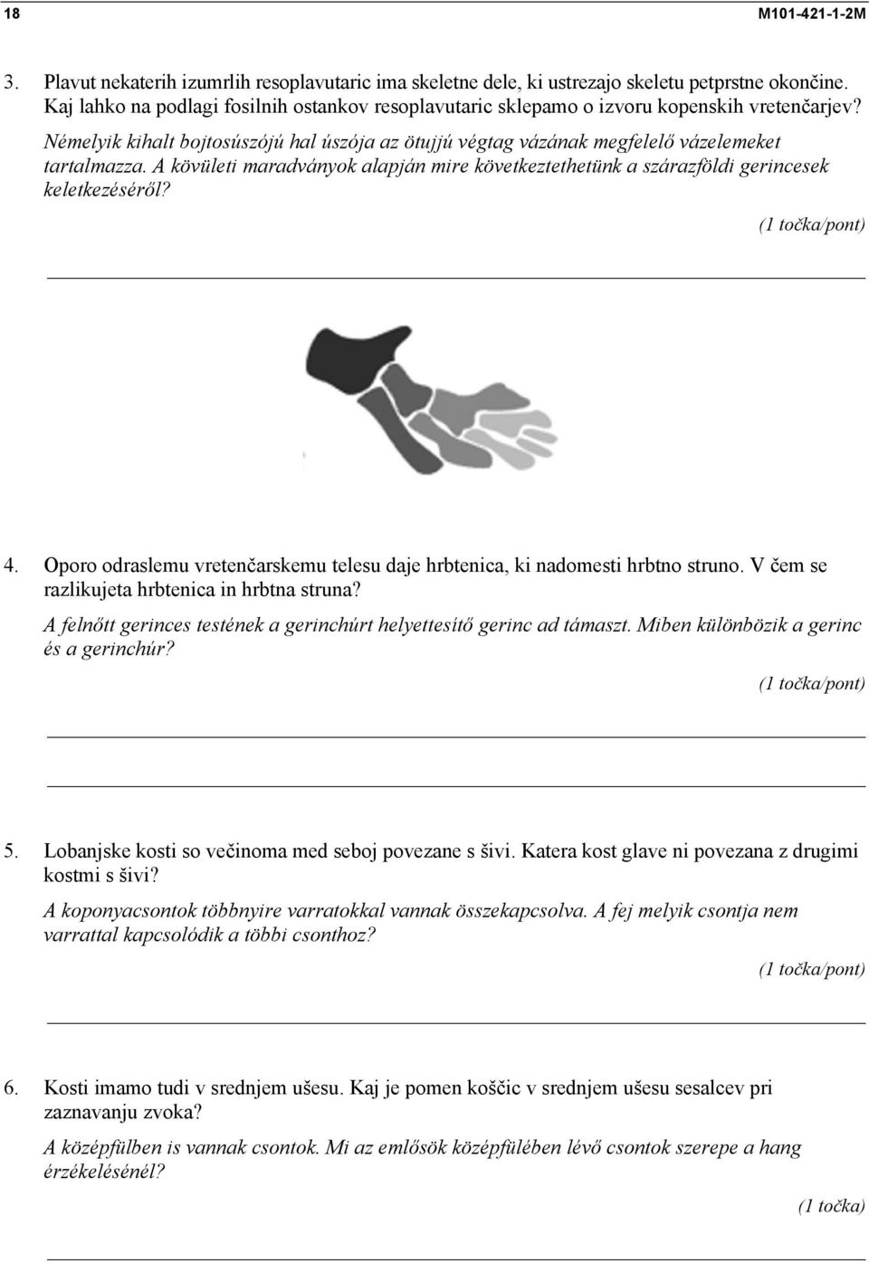 A kövületi maradványok alapján mire következtethetünk a szárazföldi gerincesek keletkezéséről? 4. Oporo odraslemu vretenčarskemu telesu daje hrbtenica, ki nadomesti hrbtno struno.