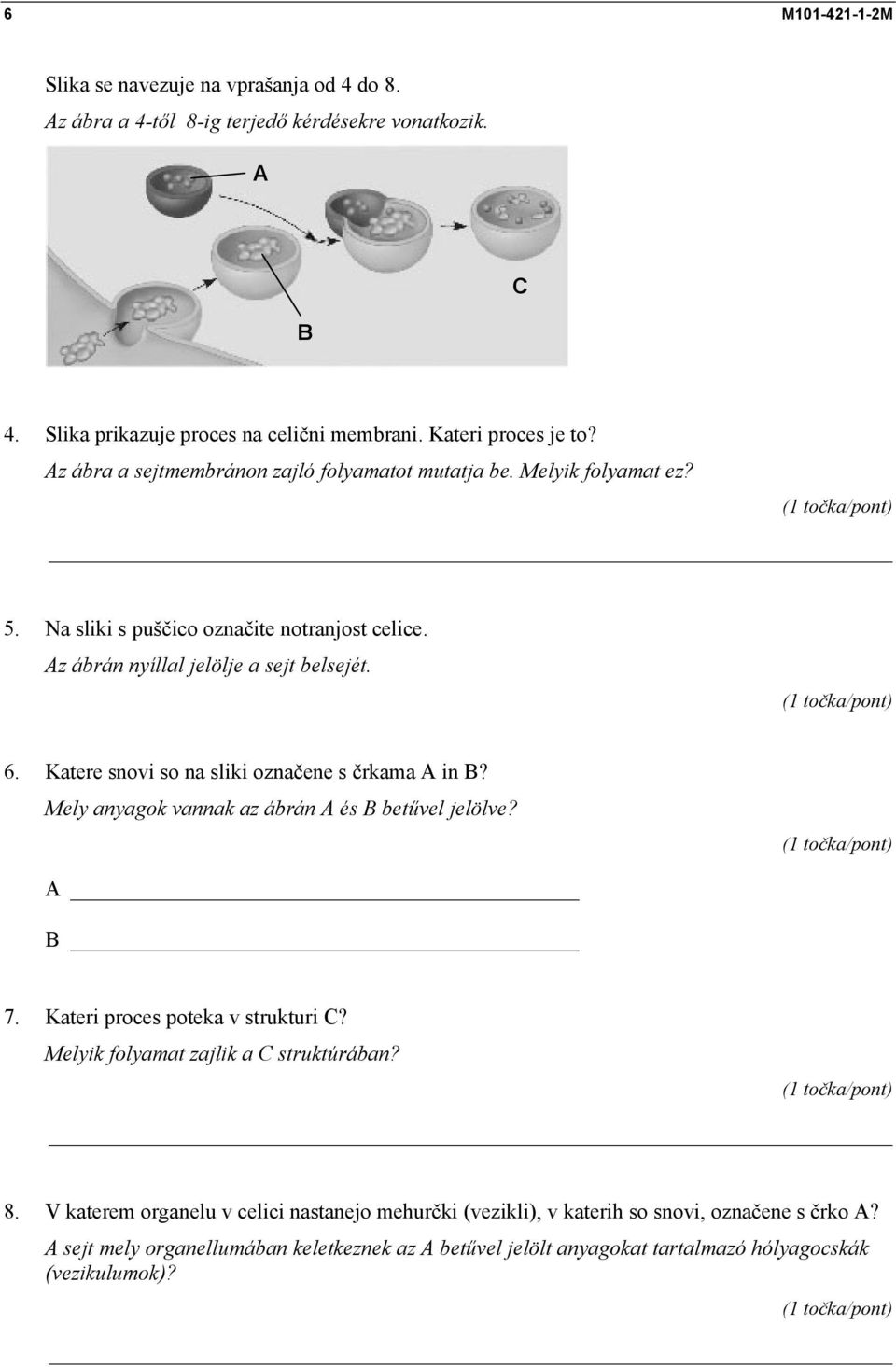 Katere snovi so na sliki označene s črkama A in B? Mely anyagok vannak az ábrán A és B betűvel jelölve? A B 7. Kateri proces poteka v strukturi C? Melyik folyamat zajlik a C struktúrában?