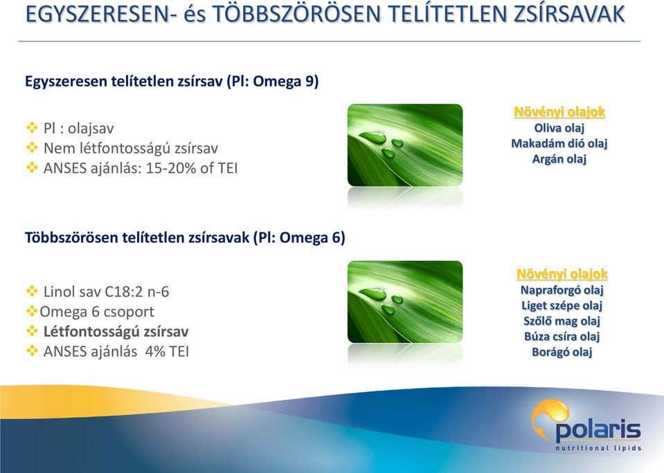 Többszörösen telítetlen zsírsavak (Pl: Omega 6) Linol sav C18:2 n-6 Omega 6 csoport Létfontosságú zsírsav