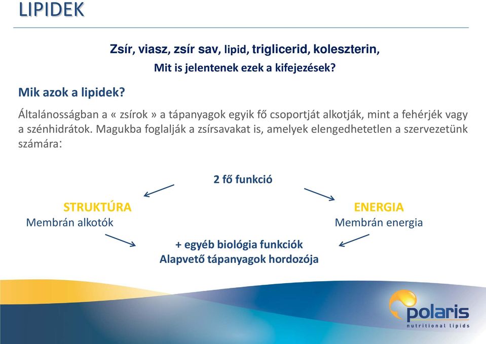 Általánosságban a «zsírok» a tápanyagok egyik fő csoportját alkotják, mint a fehérjék vagy a szénhidrátok.