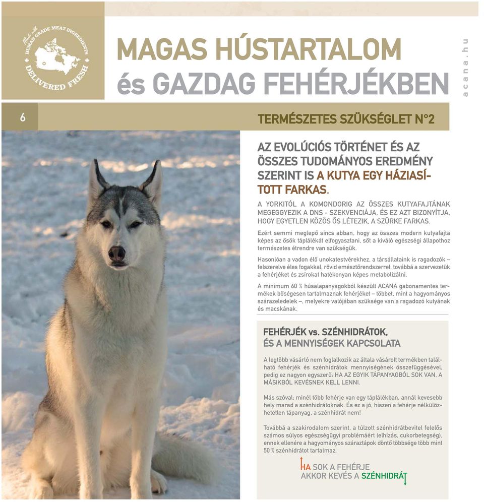 Ezért semmi meglepő sincs abban, hogy az összes modern kutyafajta képes az ősök táplálékát elfogyasztani, sőt a kiváló egészségi állapothoz természetes étrendre van szükségük.