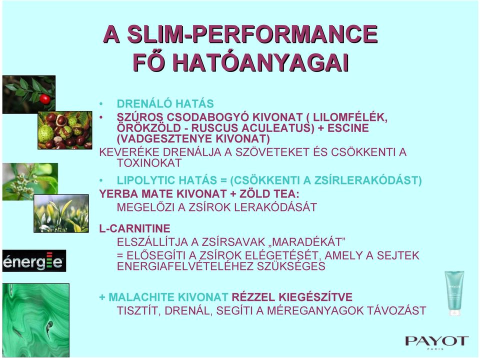 YERBA MATE KIVONAT + ZÖLD TEA: MEGELŐZI A ZSÍROK LERAKÓDÁSÁT L-CARNITINE ELSZÁLLÍTJA A ZSÍRSAVAK MARADÉKÁT = ELŐSEGÍTI A ZSÍROK