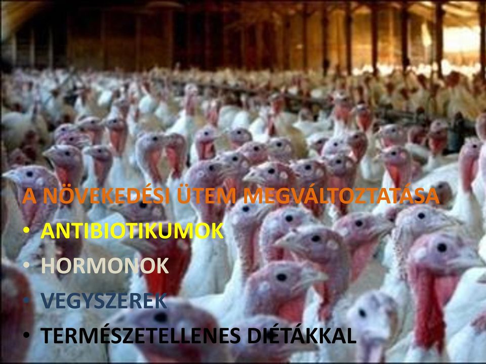 ANTIBIOTIKUMOK HORMONOK