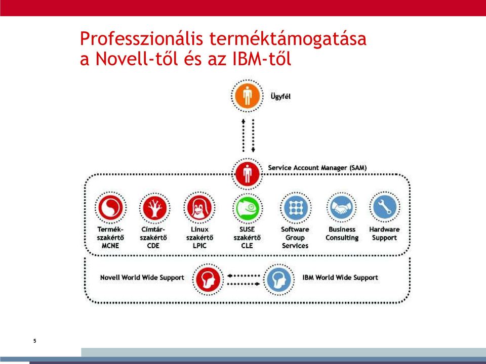 Novell-től és az IBM-től
