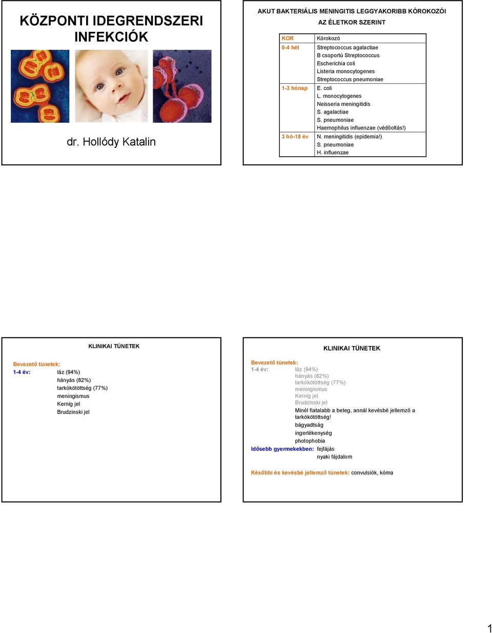 Listeria monocytogenes Streptococcus pneumoniae E. coli L. monocytogenes Neisseria meningitidis S. agalactiae Haemophilus influenzae (védőoltás!) N. meningitidis (epidemia!) H.