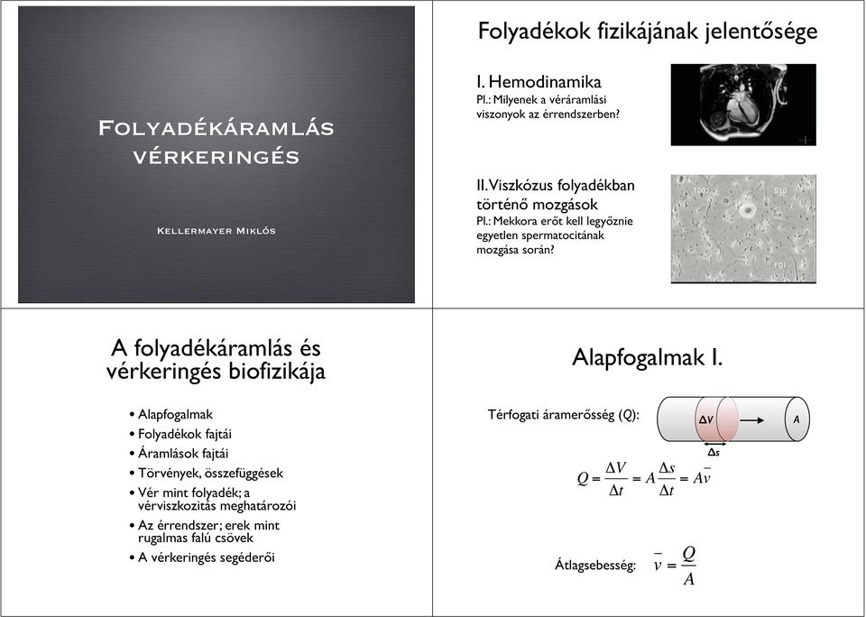 : Mekkora erőt kell legyőznie egyetlen spermatocitának mozgása során?