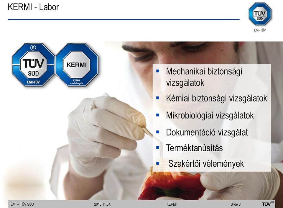vizsgálatok Dokumentáció vizsgálat