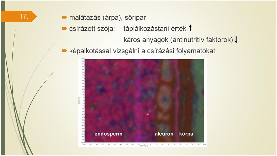 (antinutritív faktorok) képalkotással