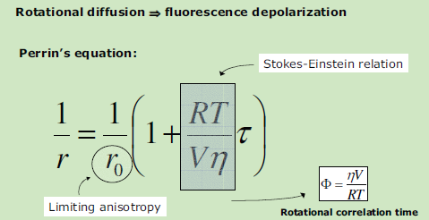 2013.02.15. Fluorescencia polariáció 2.