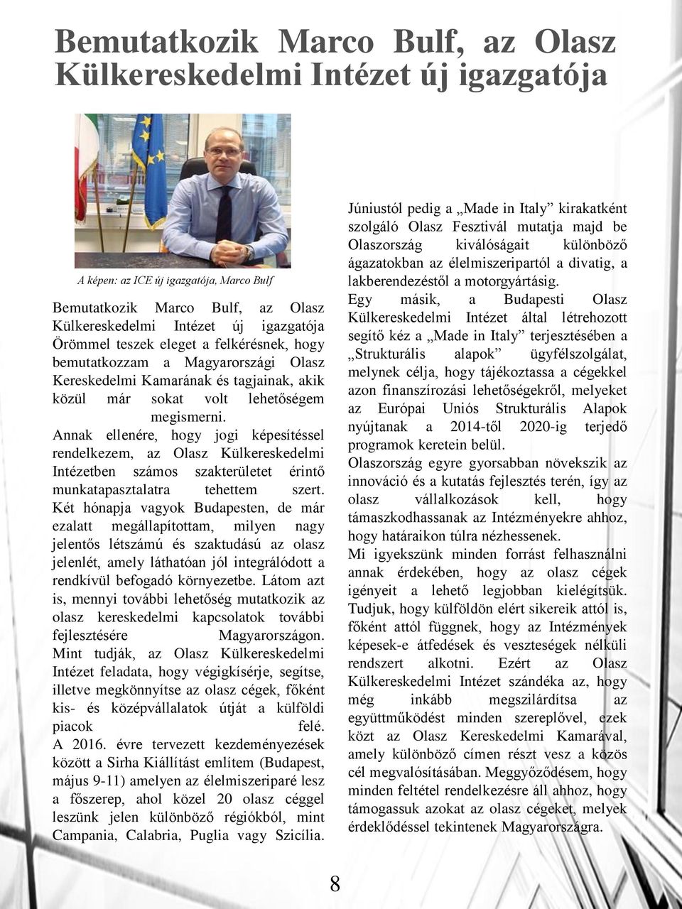 Annak ellenére, hogy jogi képesítéssel rendelkezem, az Olasz Külkereskedelmi Intézetben számos szakterületet érintő munkatapasztalatra tehettem szert.