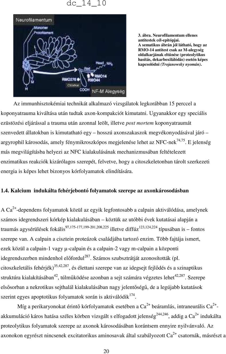 Az immunhisztokémiai technikát alkalmazó vizsgálatok legkorábban 15 perccel a koponyatrauma kiváltása után tudtak axon-kompakciót kimutatni.
