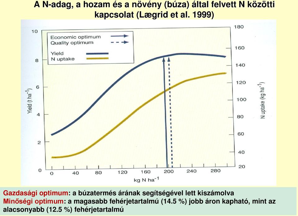 1999) Gazdasági optimum: a búzatermés árának segítségével lett