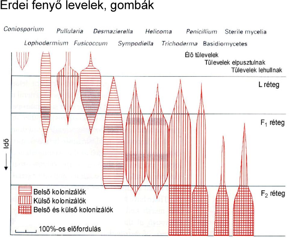 levelek,