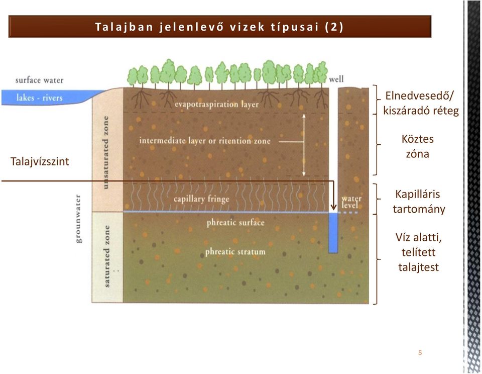 Talajvízszint Köztes zóna Kapilláris