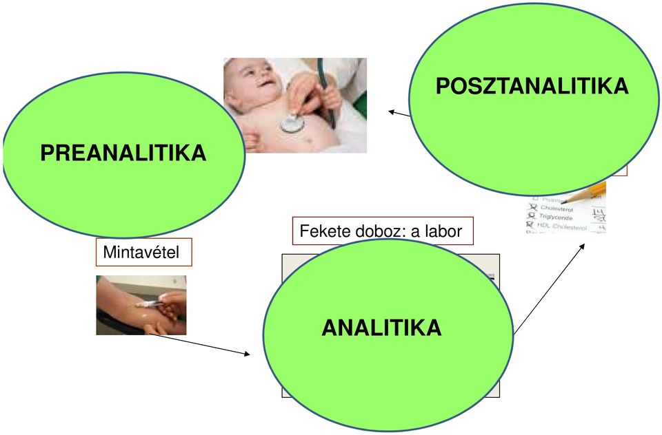 PREANALITIKA Eredmény