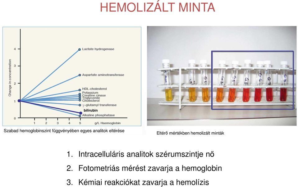 Intracelluláris analitok szérumszintje nő 2.