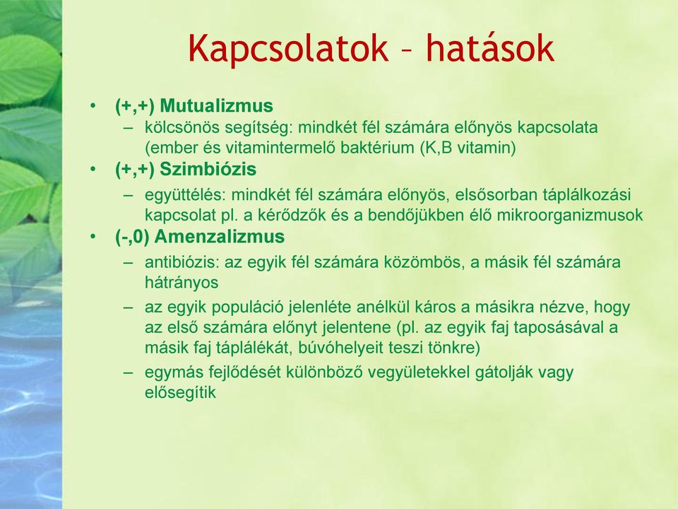 a kérődzők és a bendőjükben élő mikroorganizmusok (-,0) Amenzalizmus antibiózis: az egyik fél számára közömbös, a másik fél számára hátrányos az egyik