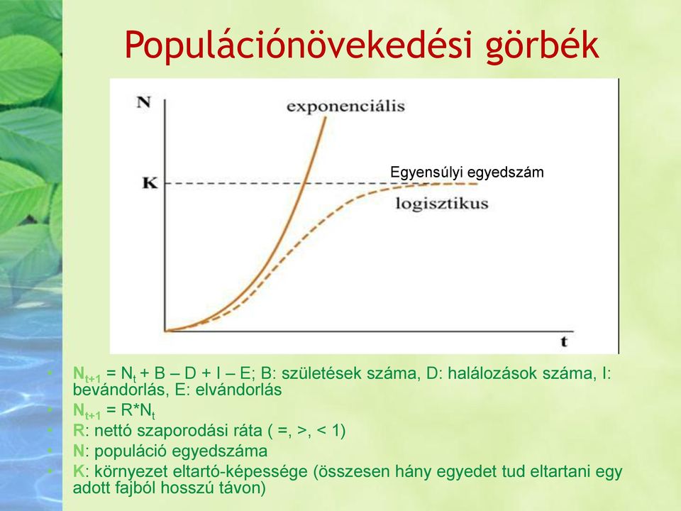 R*N t R: nettó szaporodási ráta ( =, >, < 1) N: populáció egyedszáma K: