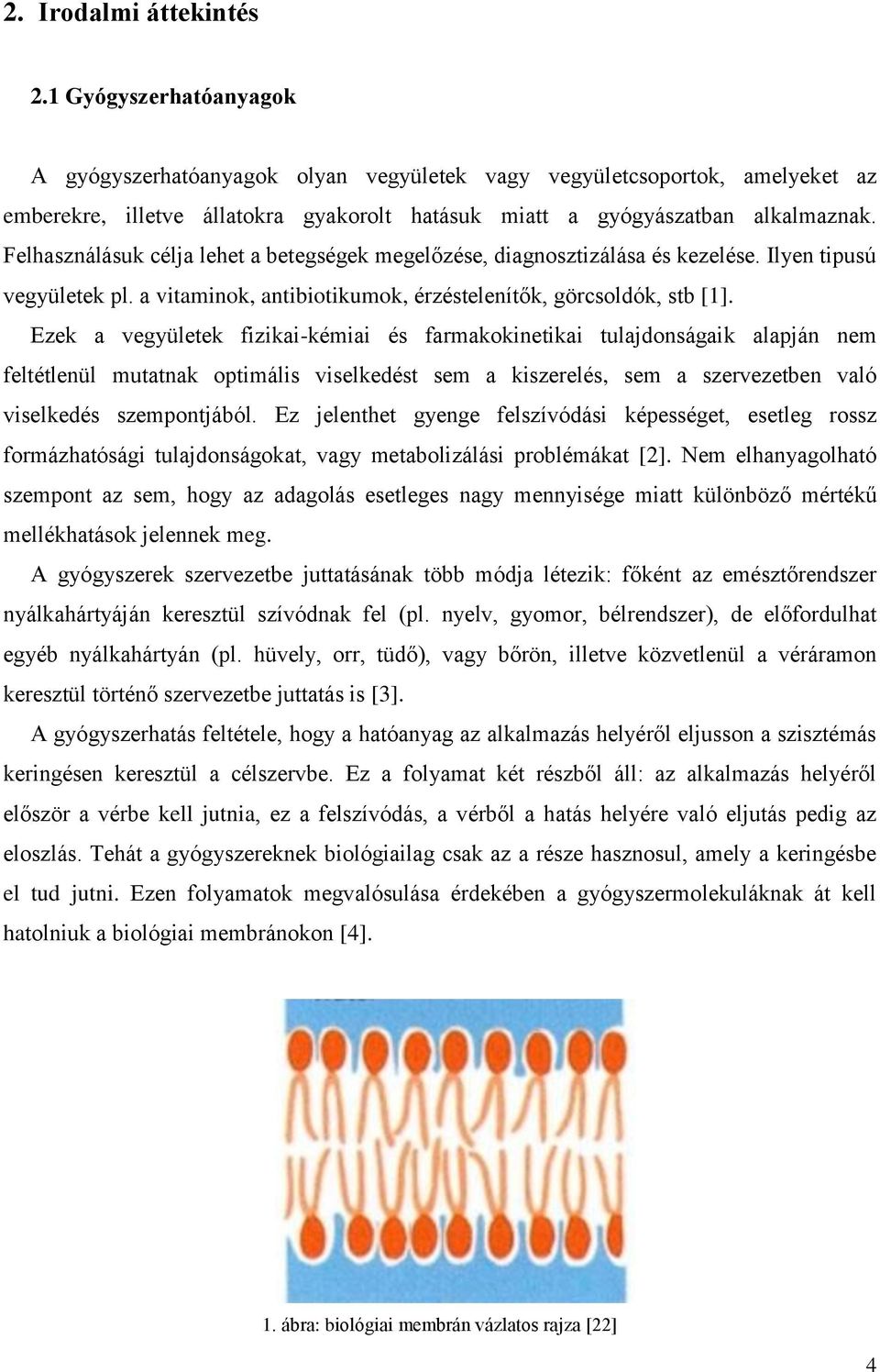 Felhasználásuk célja lehet a betegségek megelőzése, diagnosztizálása és kezelése. Ilyen tipusú vegyületek pl. a vitaminok, antibiotikumok, érzéstelenítők, görcsoldók, stb [1].