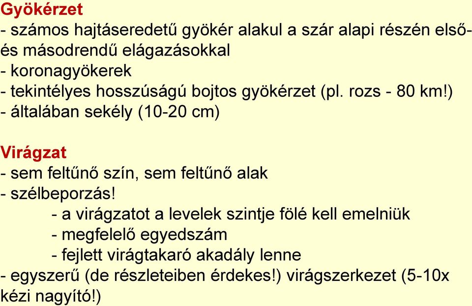 ) - általában sekély (10-20 cm) Virágzat - sem feltűnő szín, sem feltűnő alak - szélbeporzás!