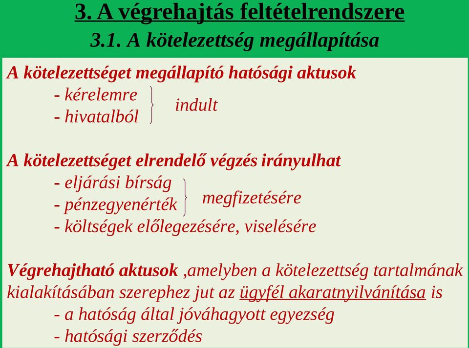 A végrehajtás feltételrendszere 3.1.