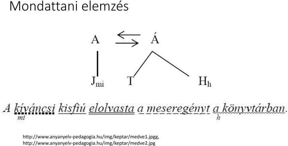 hu/img/keptar/medve1.