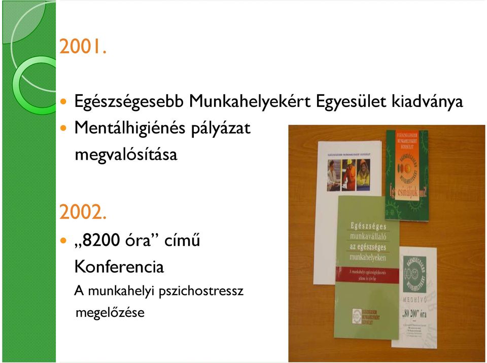 pályázat megvalósítása 2002.