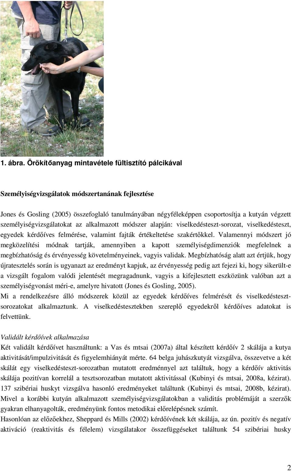 személyiségvizsgálatokat az alkalmazott módszer alapján: viselkedésteszt-sorozat, viselkedésteszt, egyedek kérdőíves felmérése, valamint fajták értékeltetése szakértőkkel.