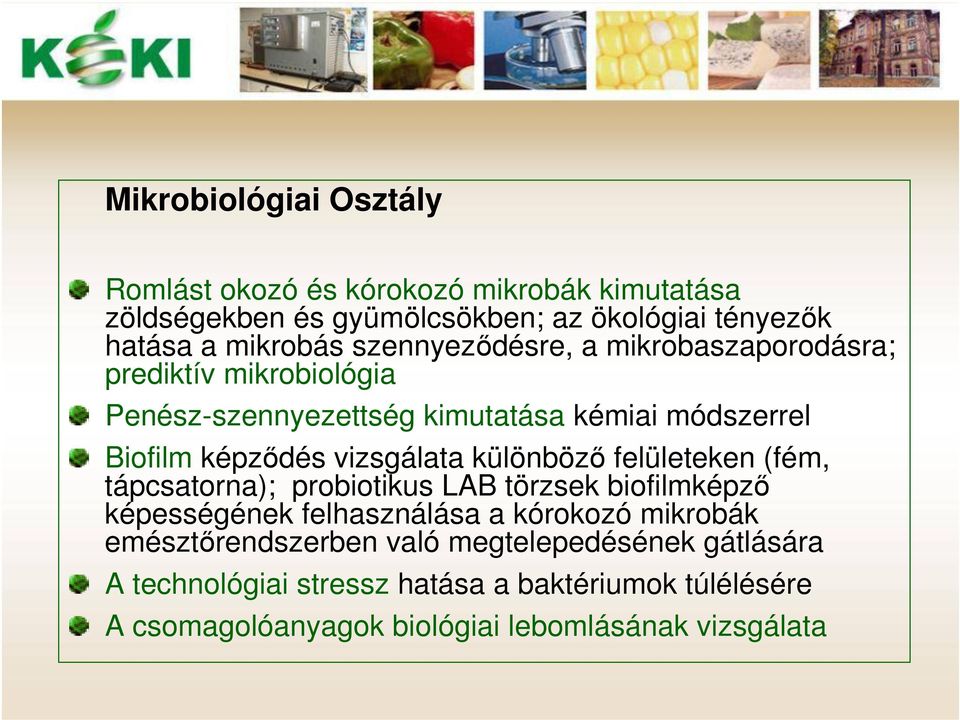 különböző felületeken (fém, tápcsatorna); probiotikus LAB törzsek biofilmképző képességének felhasználása a kórokozó mikrobák