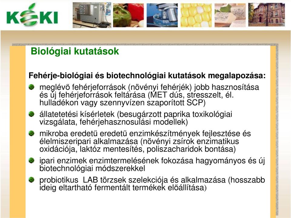 hulladékon vagy szennyvízen szaporított SCP) állatetetési kísérletek (besugárzott paprika toxikológiai vizsgálata, fehérjehasznosulási modellek) mikroba eredetű eredetű