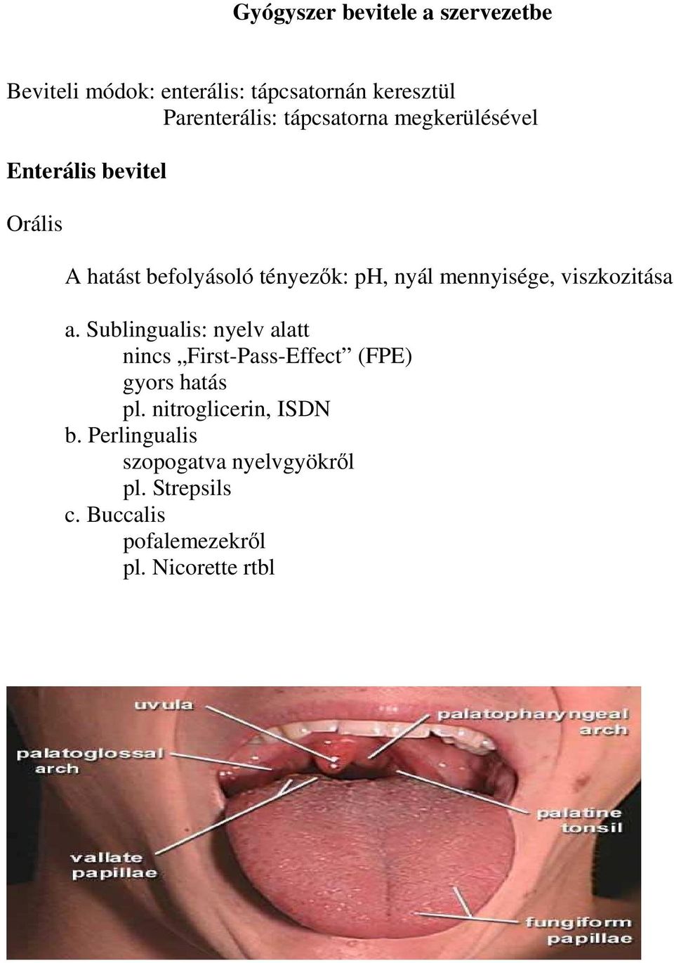 mennyisége, viszkozitása a. Sublingualis: nyelv alatt nincs First-Pass-Effect (FPE) gyors hatás pl.