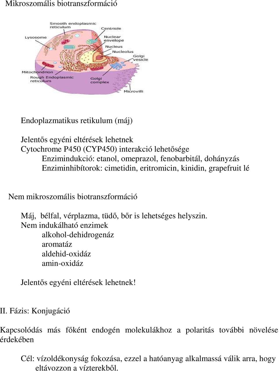 is lehetséges helyszin. Nem indukálható enzimek alkohol-dehidrogenáz aromatáz aldehid-oxidáz amin-oxidáz Jelentős egyéni eltérések lehetnek! II.