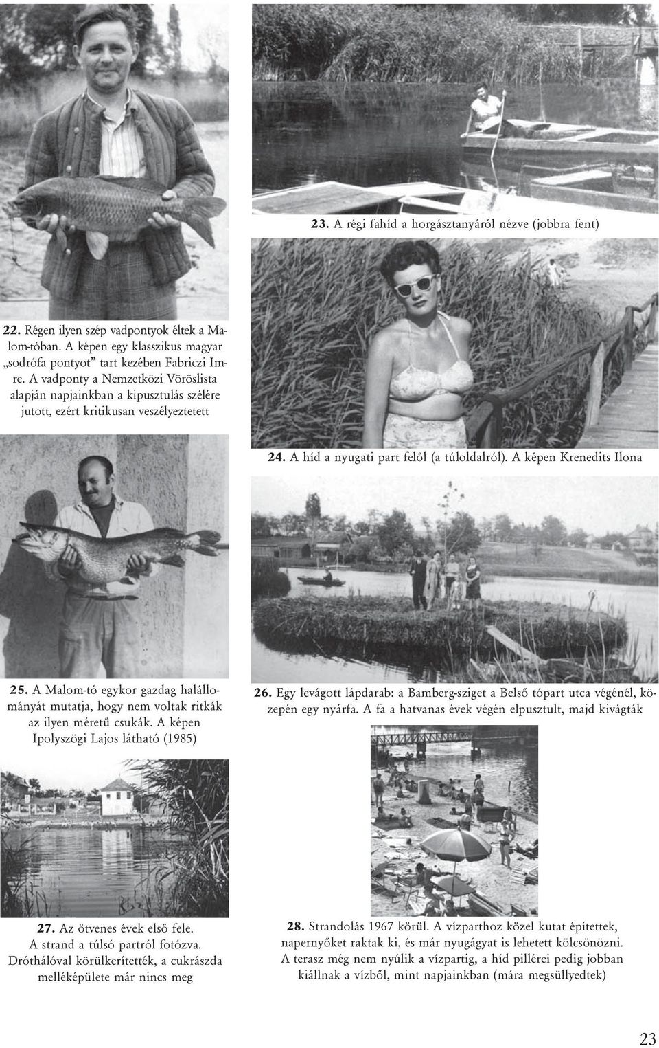 A Malom-tó egykor gazdag halállományát mutatja, hogy nem voltak ritkák az ilyen méretû csukák. A képen Ipolyszögi Lajos látható (1985) 26.