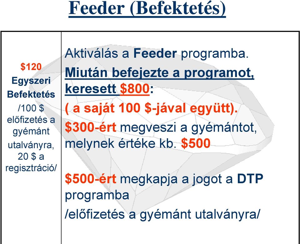Miután befejezte a programot, keresett $800: ( a saját 100 $-jával együtt).
