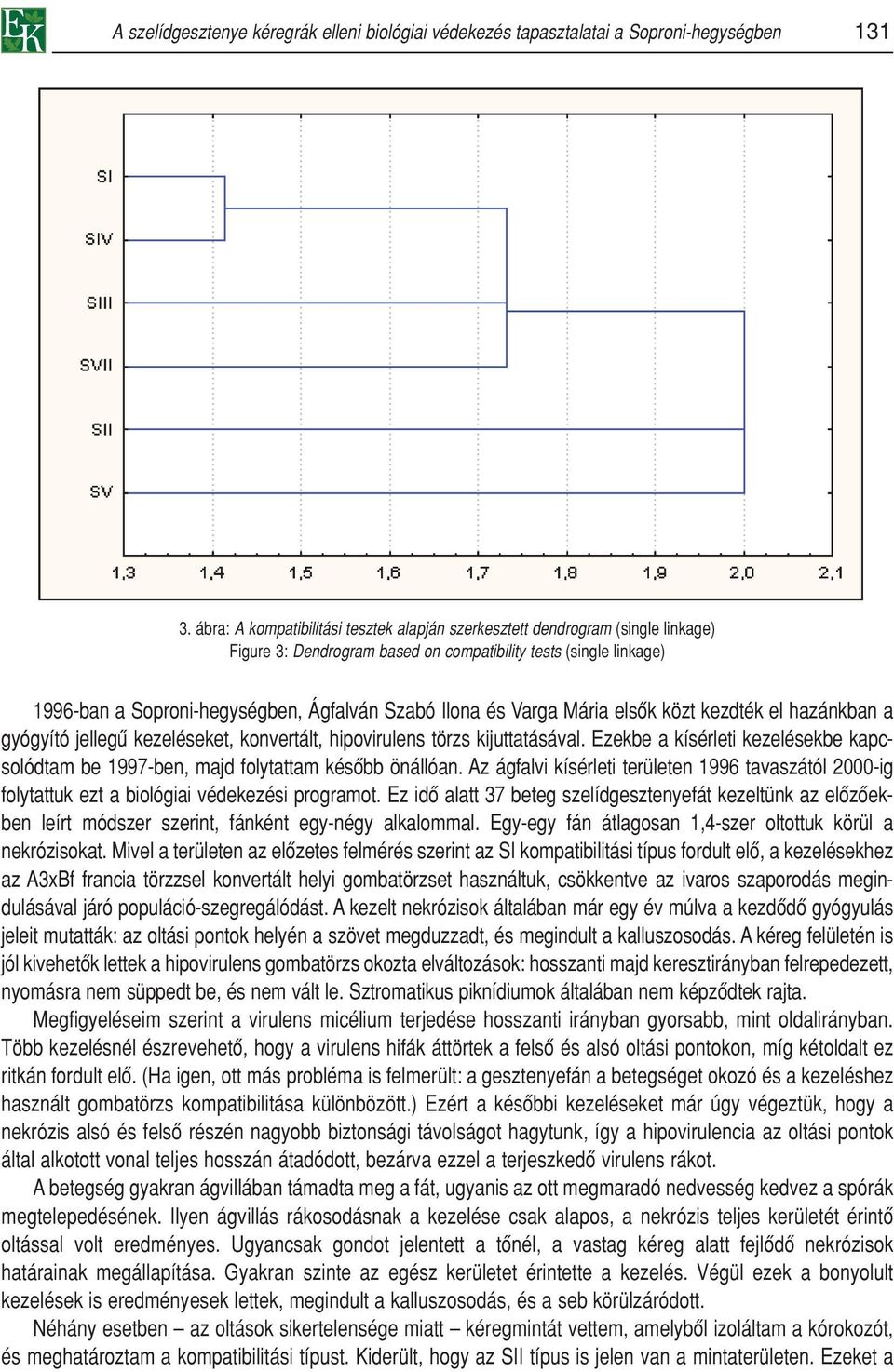 és Varga Mária elsôk közt kezdték el hazánkban a gyógyító jellegû kezeléseket, konvertált, hipovirulens törzs kijuttatásával.