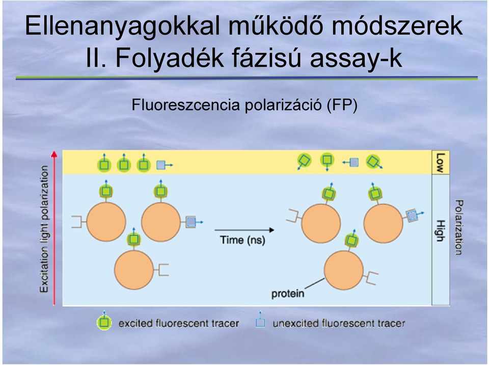 Folyadék fázisú