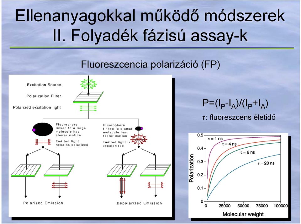 Fluoreszcencia polarizáció (FP)