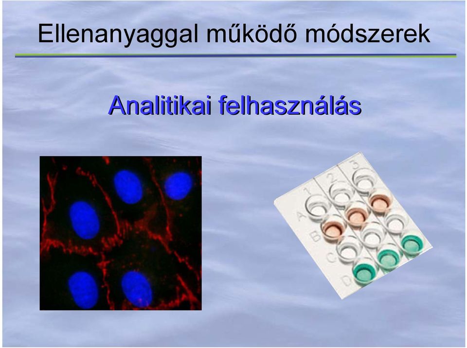 módszerek