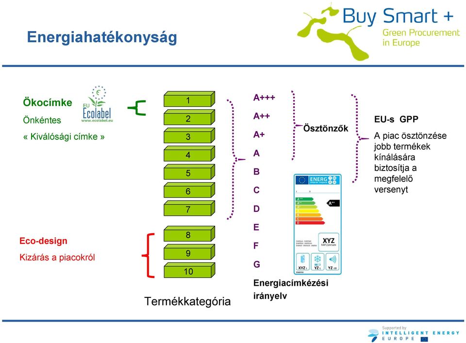 termékek kínálására biztosítja a megfelelő versenyt 7 D Eco-design