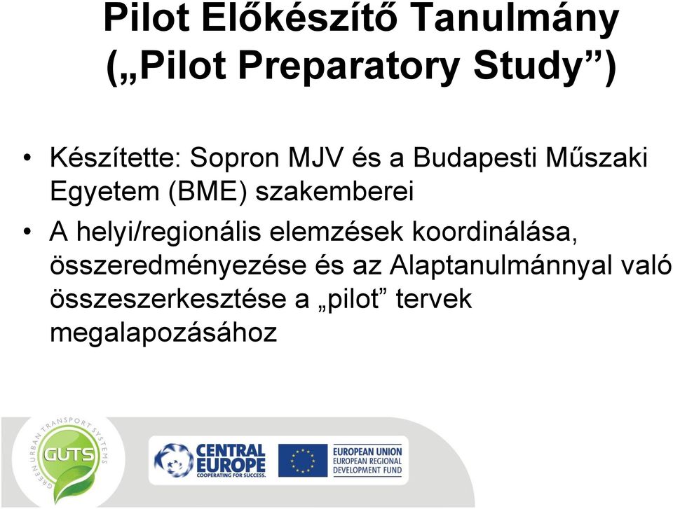 szakemberei A helyi/regionális elemzések koordinálása,
