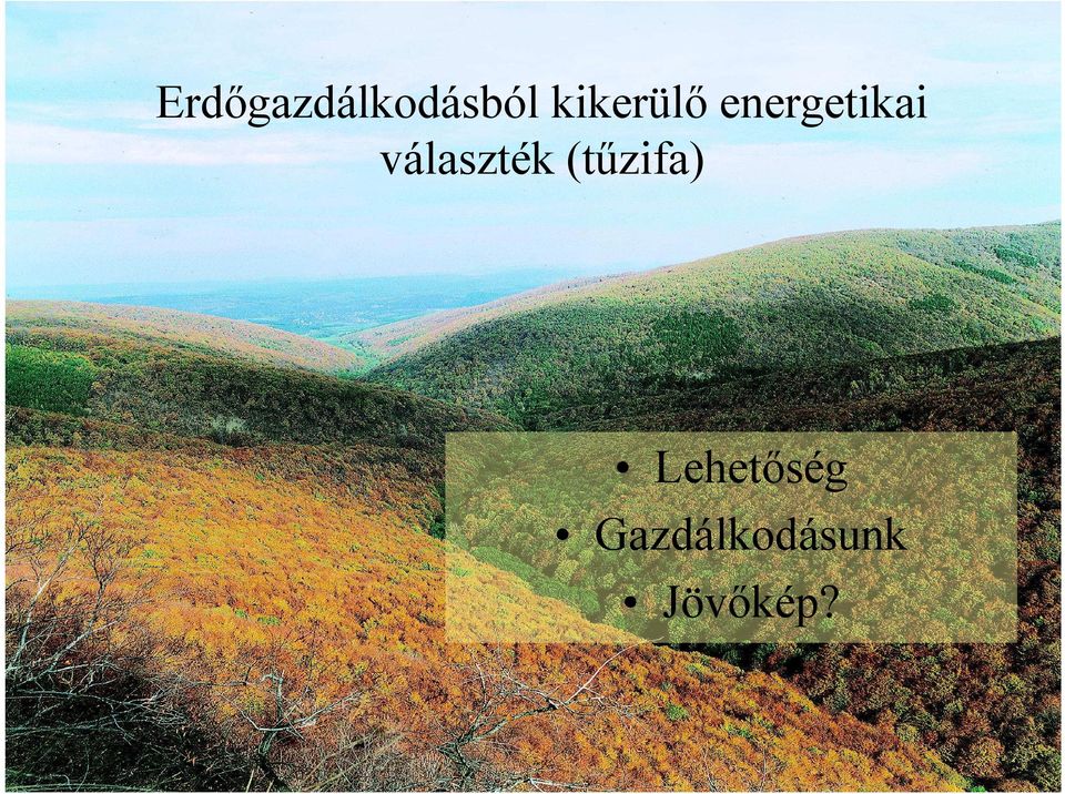 választék (tűzifa)