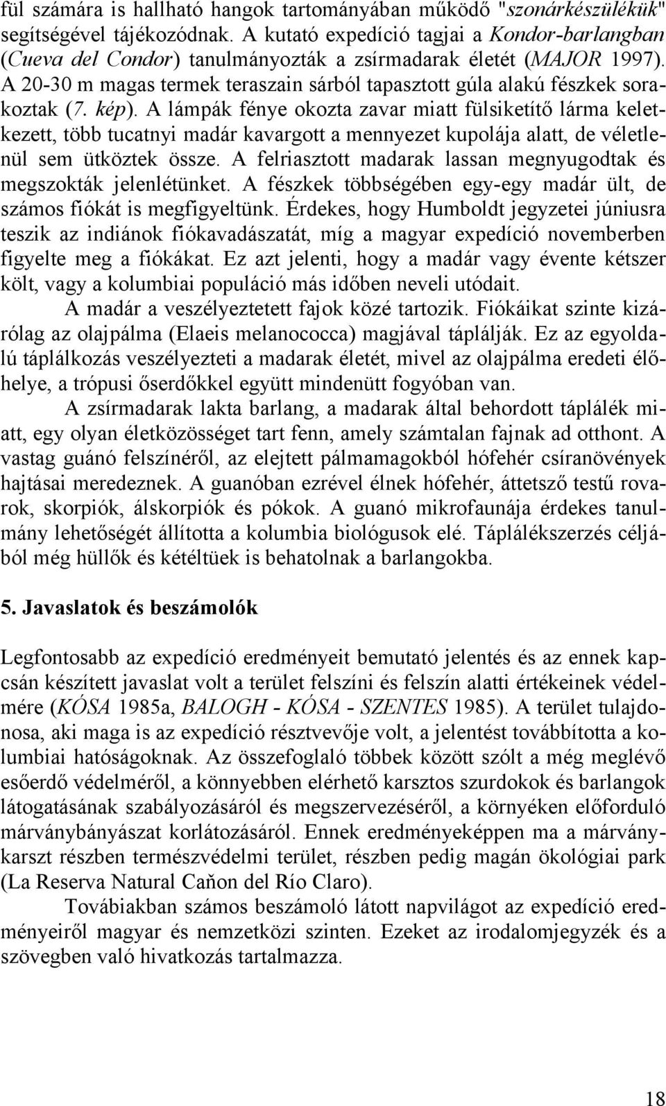 kép). A lámpák fénye okozta zavar miatt fülsiketítő lárma keletkezett, több tucatnyi madár kavargott a mennyezet kupolája alatt, de véletlenül sem ütköztek össze.