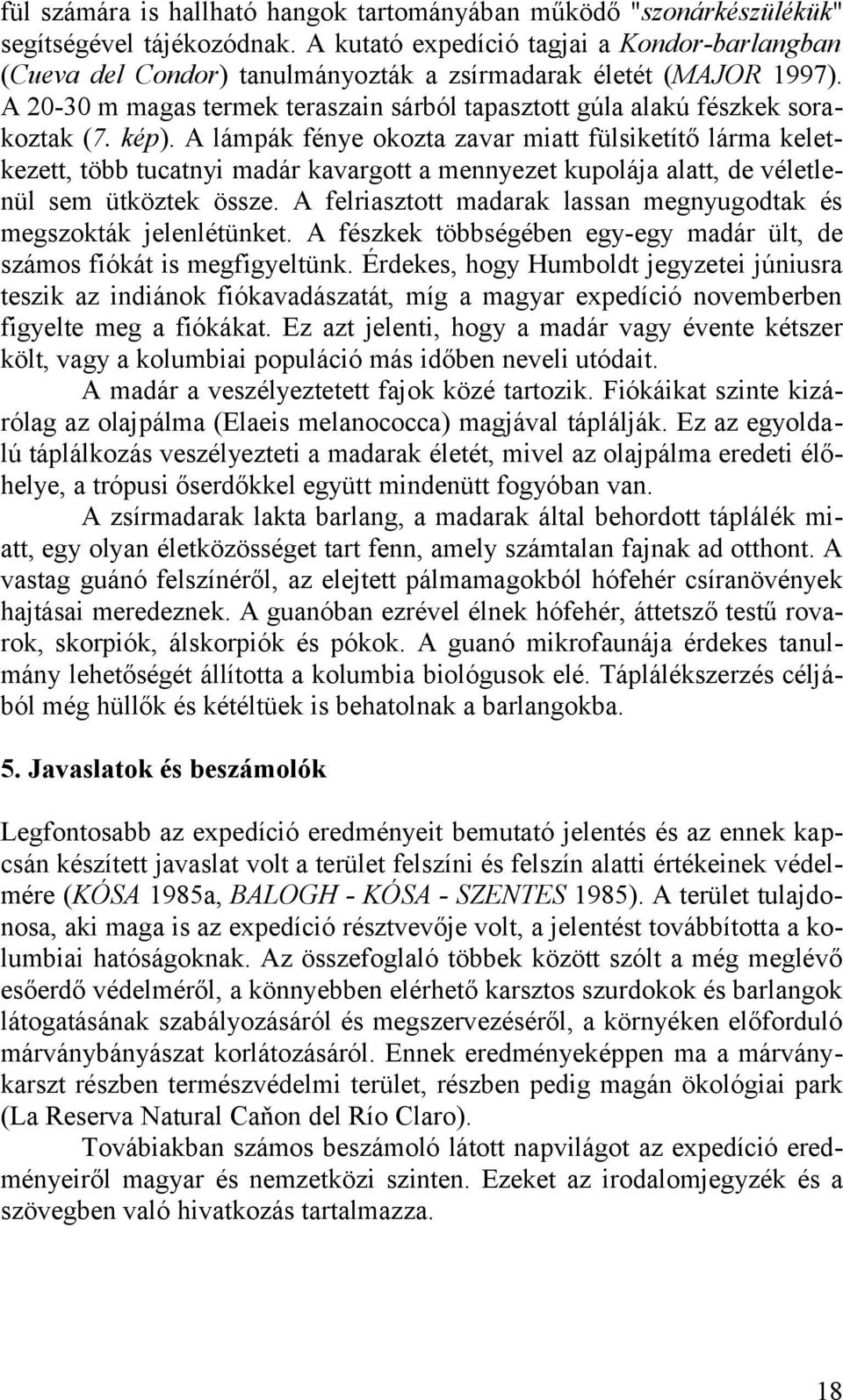 kép). A lámpák fénye okozta zavar miatt fülsiketítő lárma keletkezett, több tucatnyi madár kavargott a mennyezet kupolája alatt, de véletlenül sem ütköztek össze.