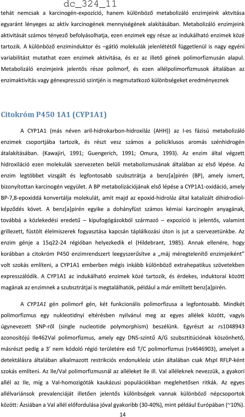 A különböző enziminduktor és gátló molekulák jelenlététől függetlenül is nagy egyéni variabilitást mutathat ezen enzimek aktivitása, és ez az illető gének polimorfizmusán alapul.