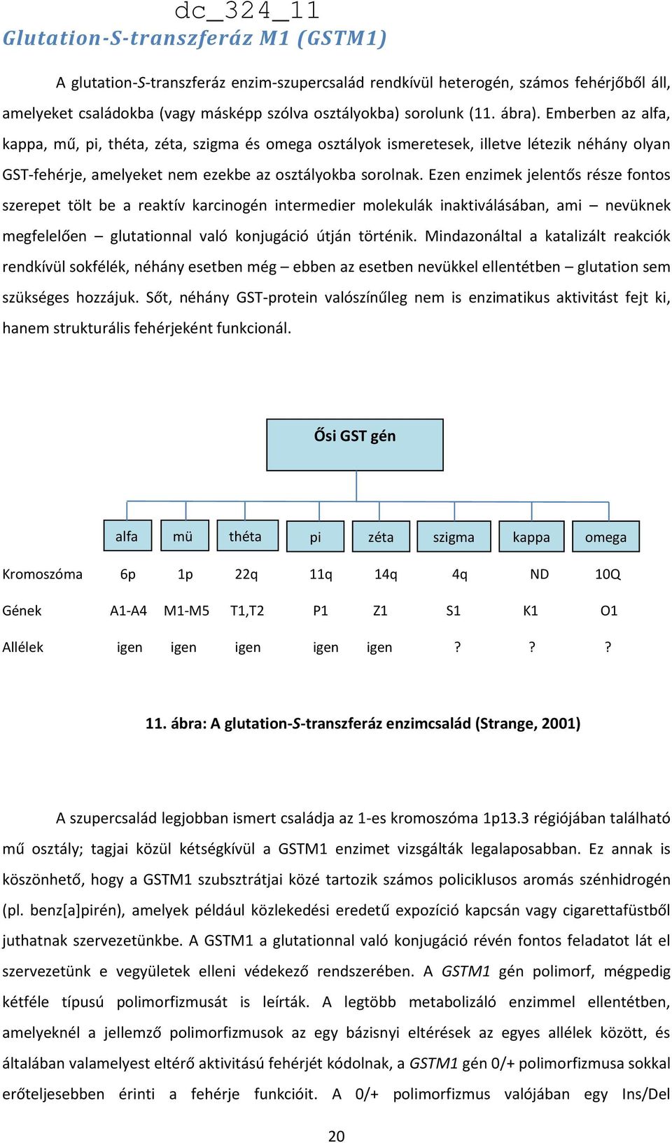 Ezen enzimek jelentős része fontos szerepet tölt be a reaktív karcinogén intermedier molekulák inaktiválásában, ami nevüknek megfelelően glutationnal való konjugáció útján történik.