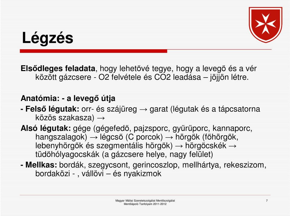 pajzsporc, gyűrűporc, kannaporc, hangszalagok) légcső (C porcok) hörgők (főhörgők, lebenyhörgők és szegmentális hörgők) hörgőcskék