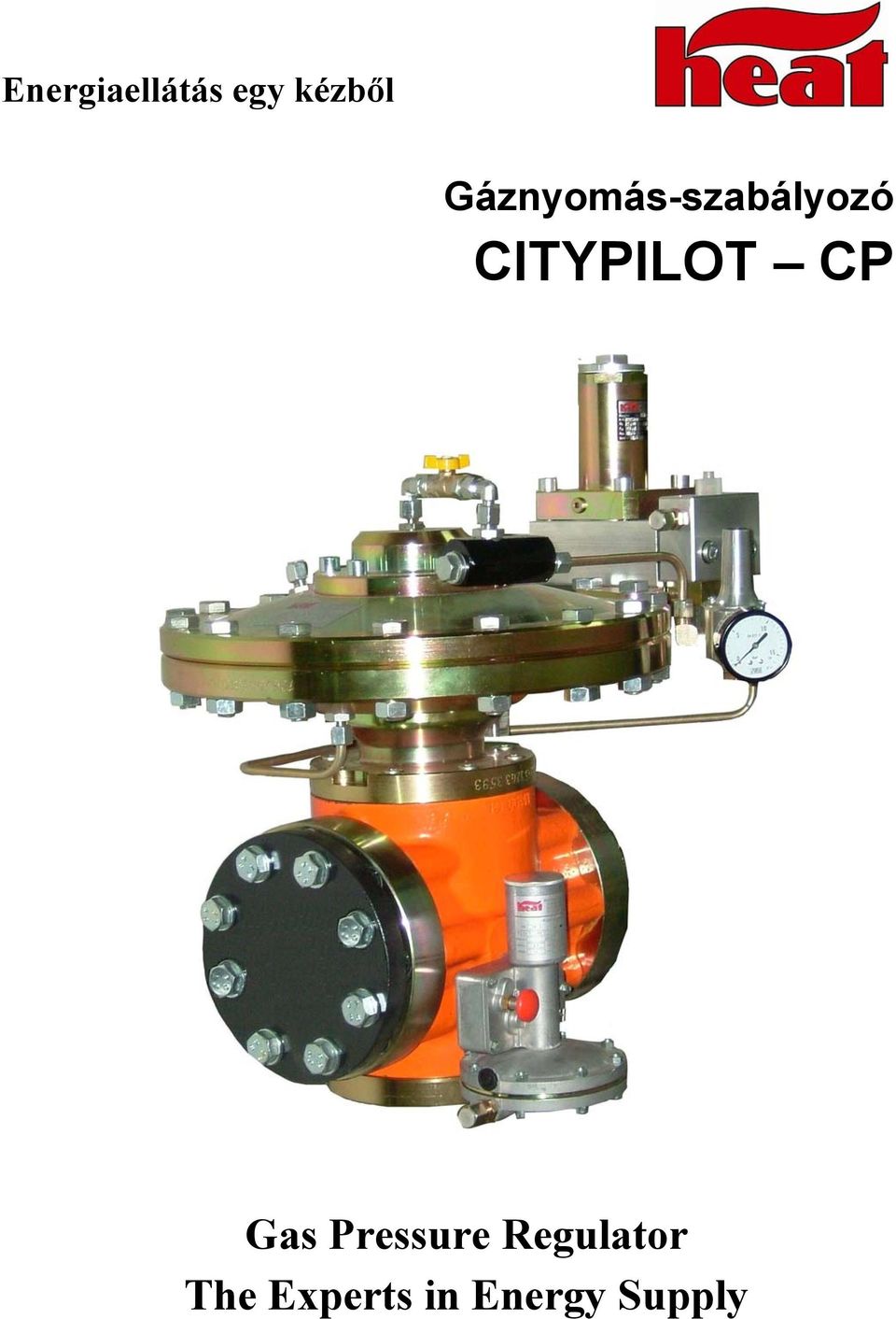 Gas Pressure Regulator